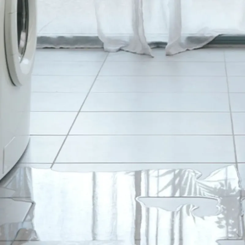 Appliance Leak Cleanup in Cortland, IL