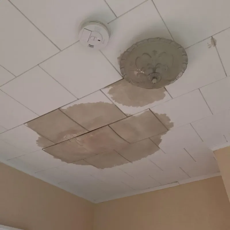 Ceiling Water Damage Repair in Cortland, IL