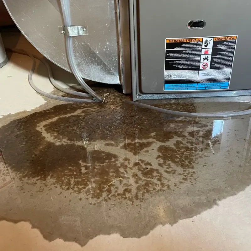 Pipe Burst and Leak Restoration in Cortland, IL