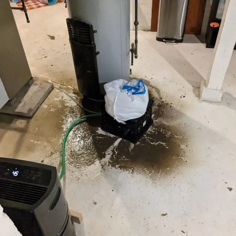 Sewage Backup Cleanup Service in Cortland, IL